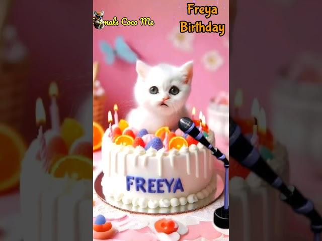 FREYA BIRTHDAY | HAPPY BIRTHDAY SONG WITH NAMES | Adorable Cute Cat   #happybirthday #cats