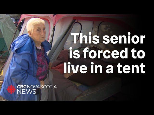 Halifax seniors desperate for safe housing