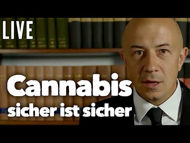 Stecklinge doch strafbar? - Wie anbauen ohne Risiko. Alles zum KCanG, Eure Fragen - Live