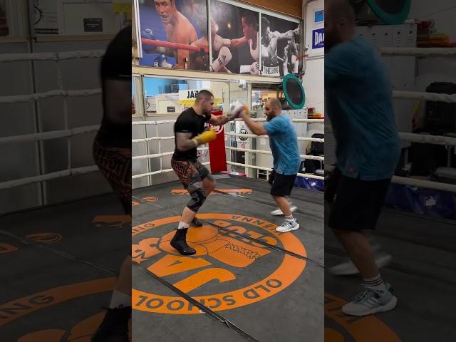 Alexandar Rakic Boxing Master 2024 #mma #boxing #ufcko #ufc #muaythai #mmaacademy #fight #sports