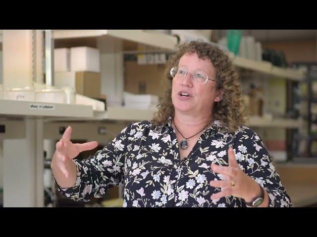 In the lab with an orchid scientist, Smithsonian Environmental Research Center: Melissa McCormick