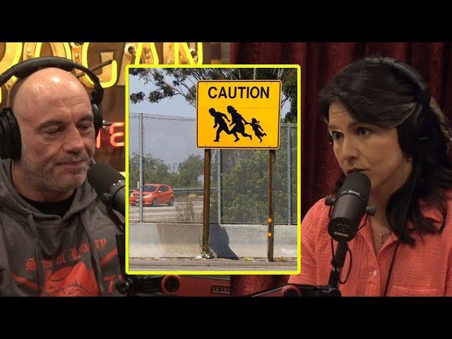 The Sad State Of San Diego | Joe Rogan & Tulsi Gabbard