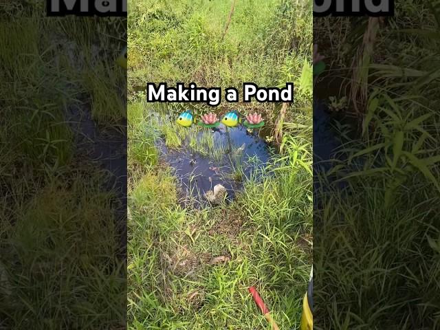 Making a Pond 🪷 #ponds #pond #fishpond #fishponds #fishpondgarden