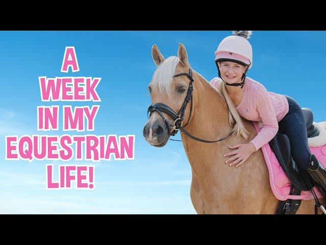 A WEEK IN MY EQUESTRIAN LIFE!