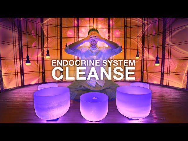 Complete Hormone Balancing Sound Bath |  Full Body Endocrine Cleanse for The Major Glands & Chakras