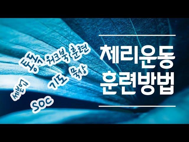 NCMN 체리운동의 훈련들