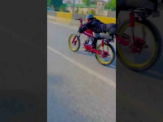 Sunny bacha 46 king 