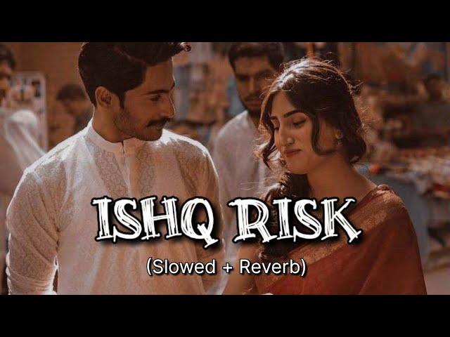 Ishq Risk - Rahat Fateh Ali Khan | Slowed + Reverb | Bollywood songs |  Stereo Buddy