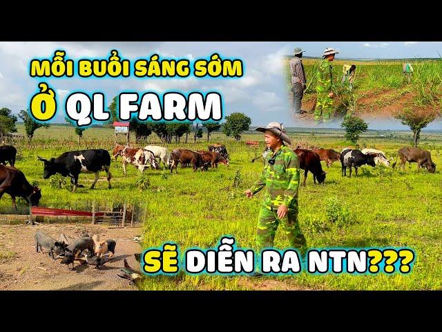 Quanglinhvlogs || Mỗi Buổi Sáng Sớm Ở Quang Linh Farm Sẽ Diễn Ra Như Thế Nào?