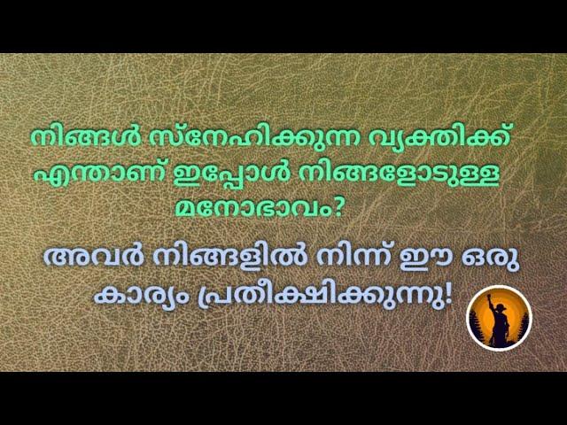 ️ അവർ നിങ്ങളിൽ നിന്ന് ഈ ഒരു കാര്യം പ്രതീക്ഷിക്കുന്നു!