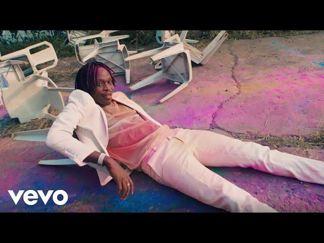 Fireboy DML - Vibration (Official Video)