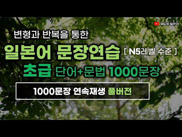 일본어 문장 연습 [초급레벨 1000문장] N5레벨 수준 1000문장 (전체 연속재생 풀버전) #변형반복을통한자동학습 #초급일본어 #생활일본어회화