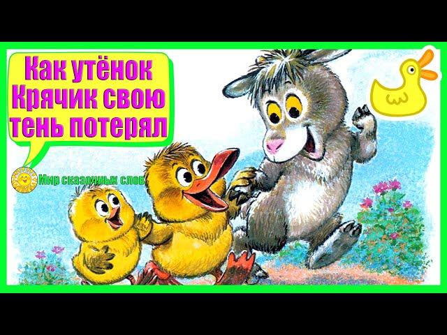 Как утёнок Крячик свою тень потерял