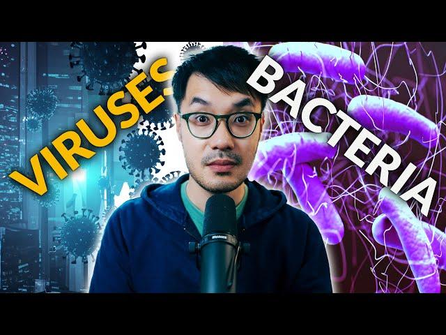 Phage Therapy: Virus Vs Bacteria?