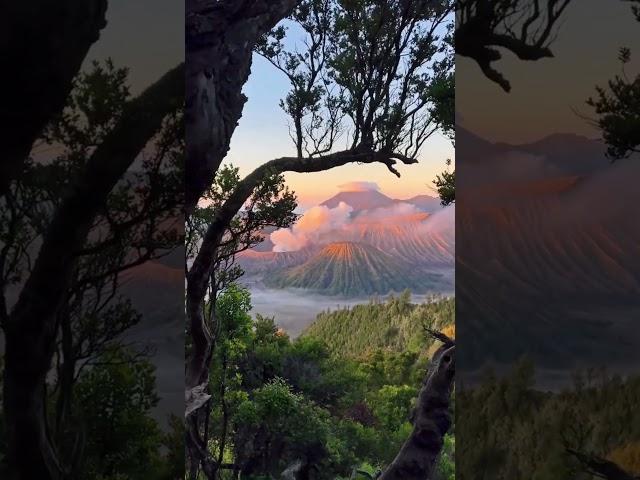 Mount Bromo in East Java, Indonesia.