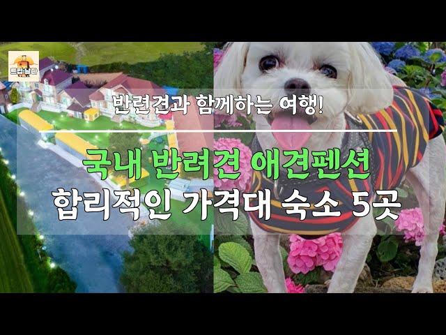 국내 반려견동반 애견펜션 합리적인 가격대의 최고의 숙소 5곳 추천!