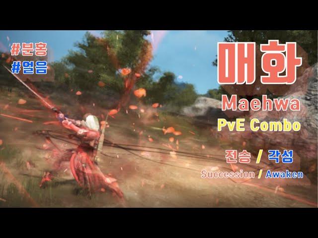 리부트 매화 PvE Combo Maehwa PvE Combo