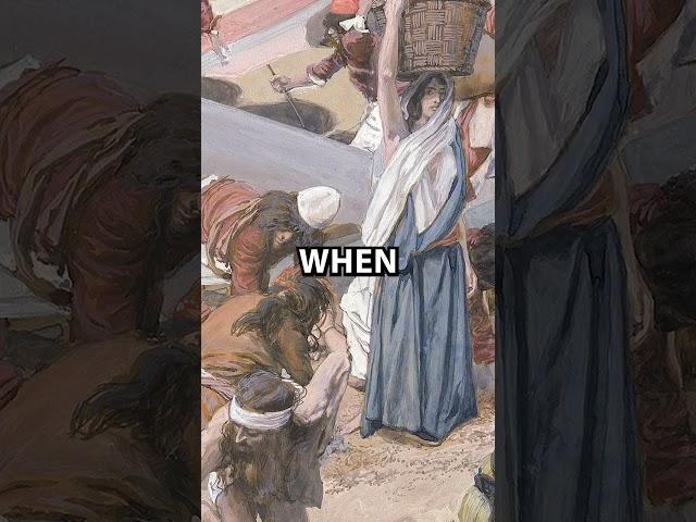 Strange Theory About The Ark Of The Covenant