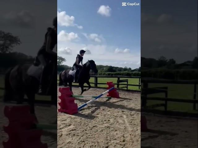 @Marthasponyadventures2 #marthaandmoto100 #flickeringmoonlight #lemieux