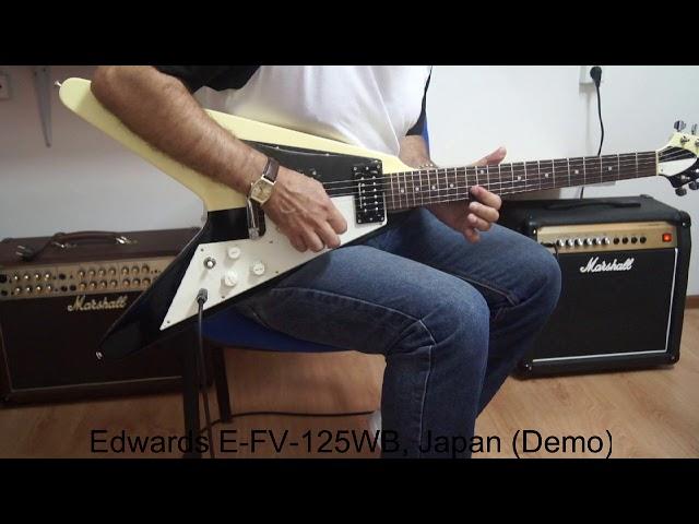 Edwards E-FV-125WB, Japan (Demo)