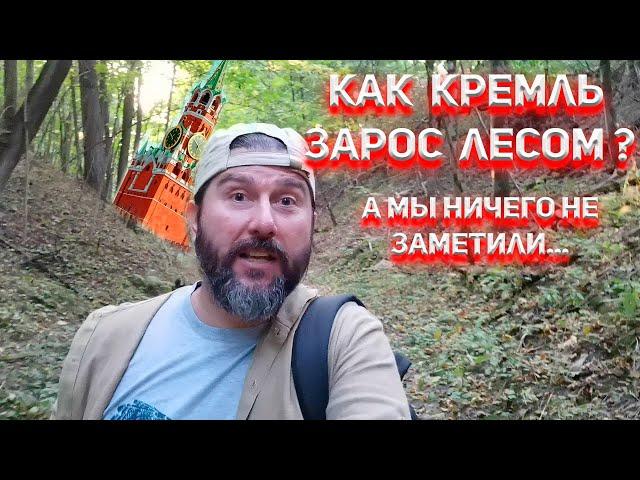 Как Кремль зарос лесом, а мы ничего не заметили?