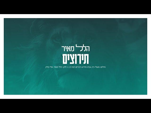 הלל מאיר - תירוצים | Hillel Meyer - Teirutzim