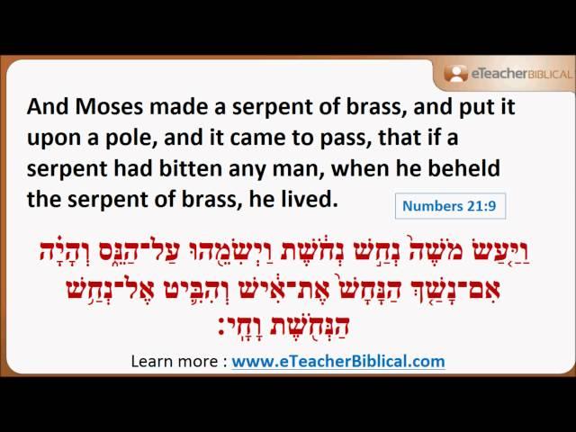 What is Nehushtan? | Biblical Hebrew Q&A with eTeacherBiblical