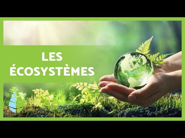 Définition et TYPES D'ÉCOSYSTÈMES ️️