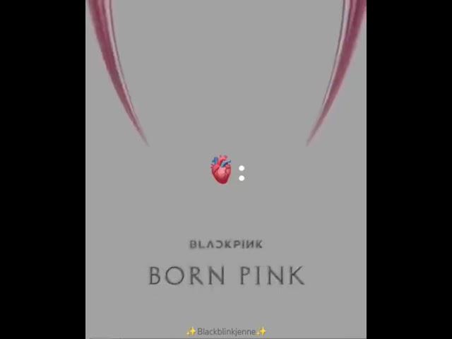 They are my heart.... 🫀️ #blinkforever