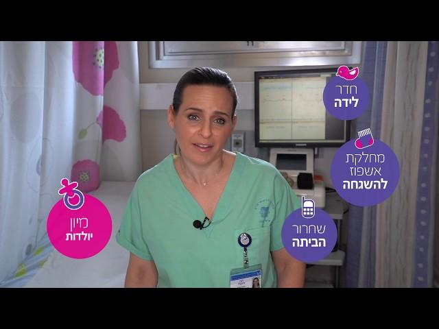 סיור וירטואלי ב"ליס