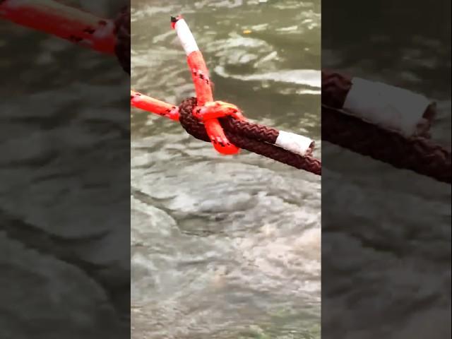 Amazing Double Fisherman's Knot Tutorial #howto #rope #knotskills