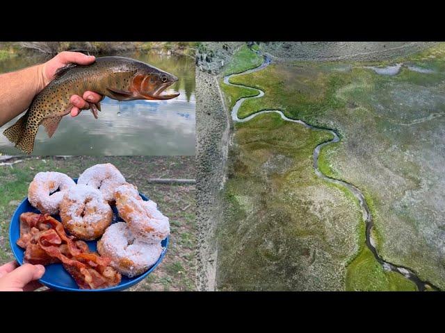 Catching Native Trout in a Mountain Stream + Delicious Campfire Breakfast!