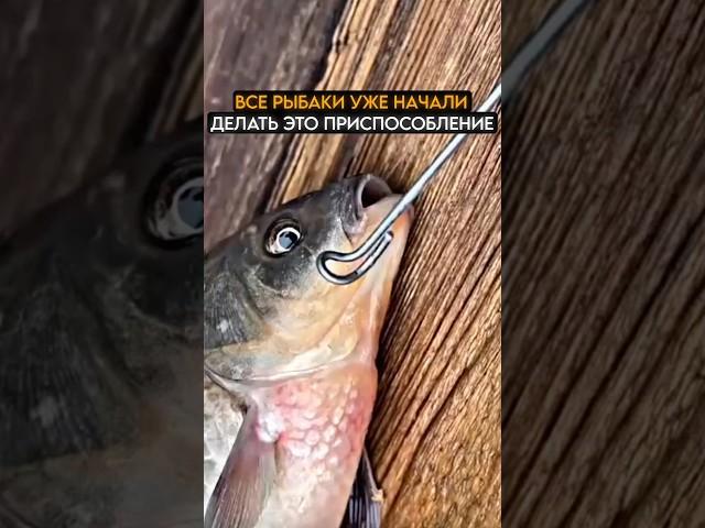 Все рыбаки хотят эту снасть #рыбалка #карась #fishing
