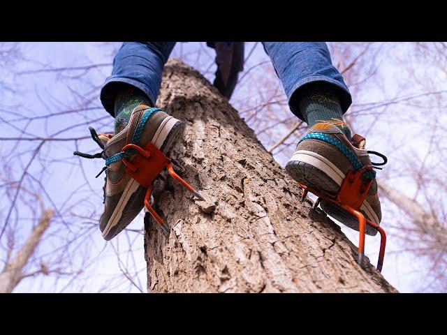 This Tool Makes Tree Climbing Effortless!