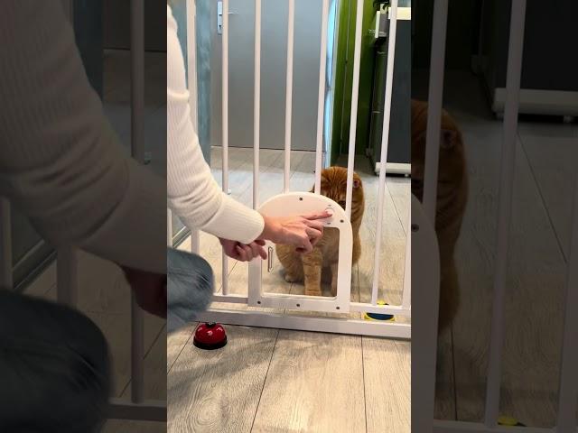 Babelio Upgraded Baby Gate with Cat Door – The Ultimate Solution for Pet-Friendly Homes