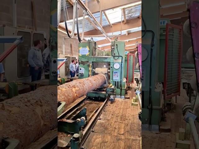 This machine turns logs into planks in seconds!🪵#shorts