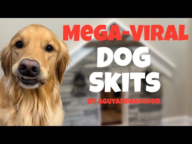 BEST AGuyandAGolden MEGA-VIRAL Dog Skits.