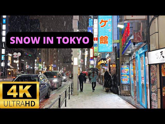 TOKYO, JAPAN  [4K] ROPPONGI — Heavy Snow Storm in TOKYO — Night Walk