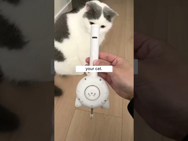 This Brush Can Truly Do It All! 