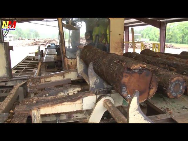 ALAT CANGGIH LUAR NEGERI  Pengerjaan dan pengolahan kayu secara otomatis sawmill