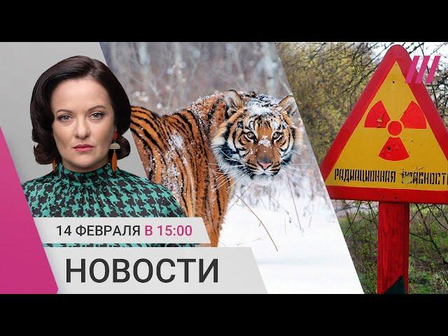 Удар дрона по Чернобыльской АЭС. Нашествие тигров в Приморье. Святой Трифон против Святого Валентина