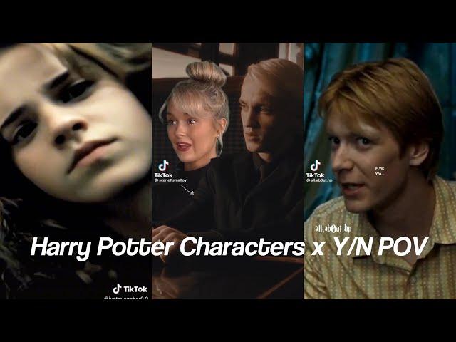 Harry Potter Characters x Y/N TikTok POV