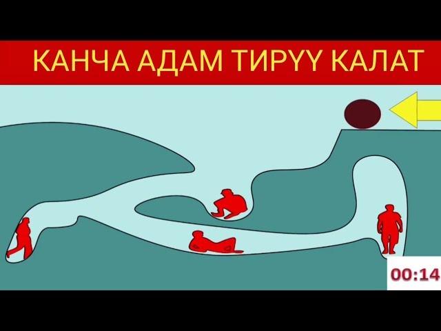 Топ 5 эң татаал логикалык суроолор.