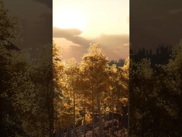 Autumn Serenity: Calming Fall Ambience with Relaxing Music and Peaceful Scenery | Sky Relaxation