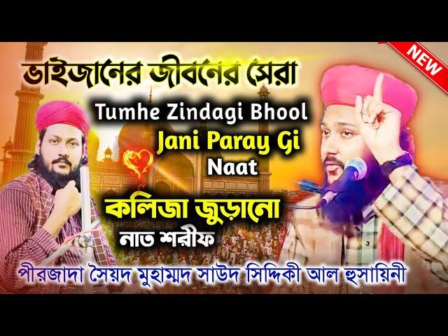 কলিজা জুড়ানো নাত শরীফ।পীরজাদা সাউদ সিদ্দিকী। Tumhe Zindagi Bhool Jani Paray Gi Naat By Saud Siddique