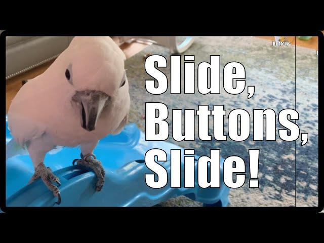 Slide, Buttons, Slide!