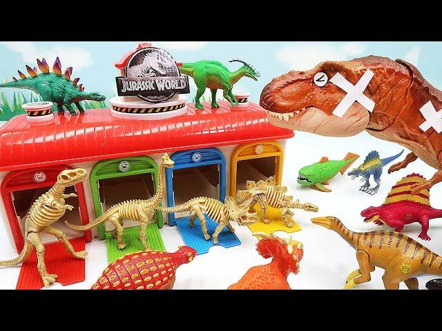 Giant Tyrannosaurus Rex Eat Dinosaurus! Dino Skeleton, Dino Egg Battle Video 공룡뼈 티라노사우루스 공룡