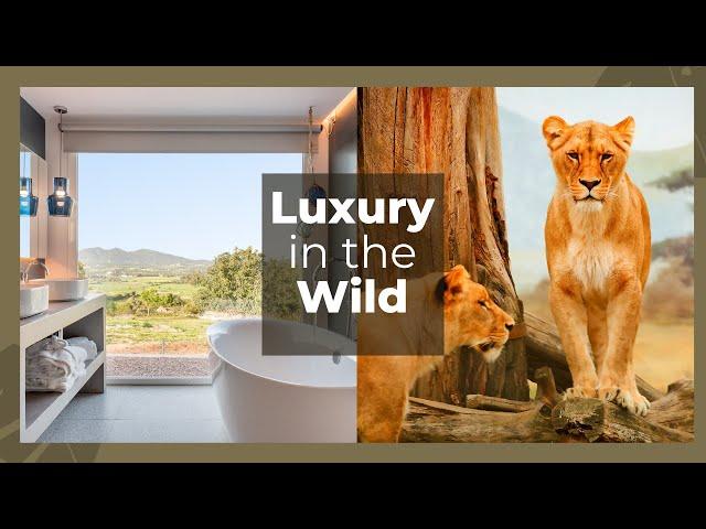 Exploring The Top 10 Luxury Safari Lodges in Africa 2024!