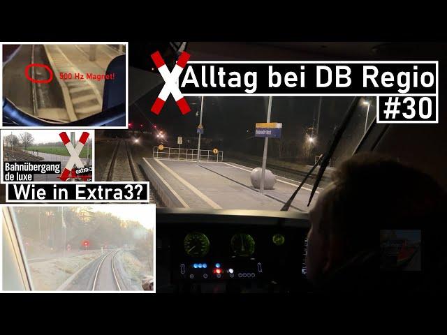 Other everyday life at DB Regio #30 | New railway crossing for the field path, behavior towards p...