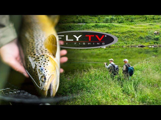 FLY TV - Dry Fly Fishing & Rising Trout in Norway